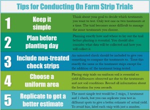 On Farm Strip Trials