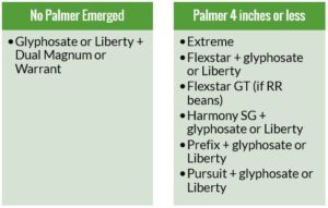 Post Herbicides