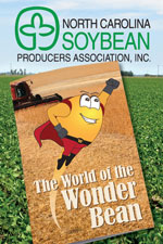 Wonder Bean Cover Graphic