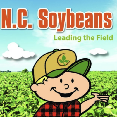N.C. Soybeans Leading the Field
