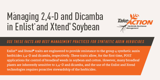 Synthetic Auxin Herbicide Fact Sheet - North Carolina Soybeans