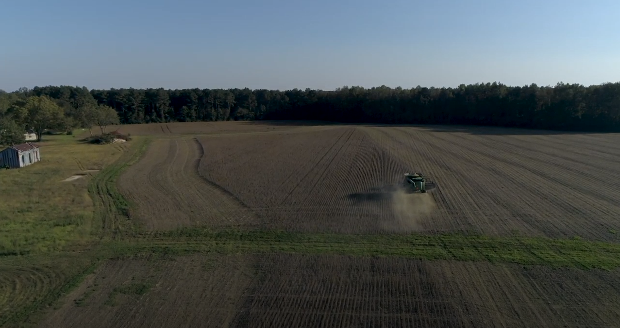 Nếu bạn đang quan tâm đến ngành nông nghiệp và sản xuất đậu nành thì không thể bỏ qua hình ảnh liên quan đến đậu nành Bắc Carolina trong bài viết này. Bạn sẽ được biết thêm về cách trồng và sản xuất đậu nành đạt chuẩn quốc tế. Hãy click vào hình ảnh để khám phá nhé!